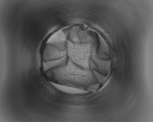 X0000086801219200705111828