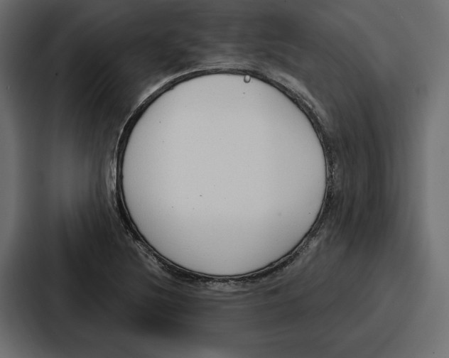 X0000086801220200705111828