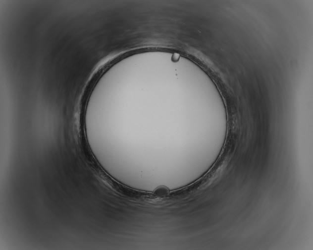 X0000086801222200705111828