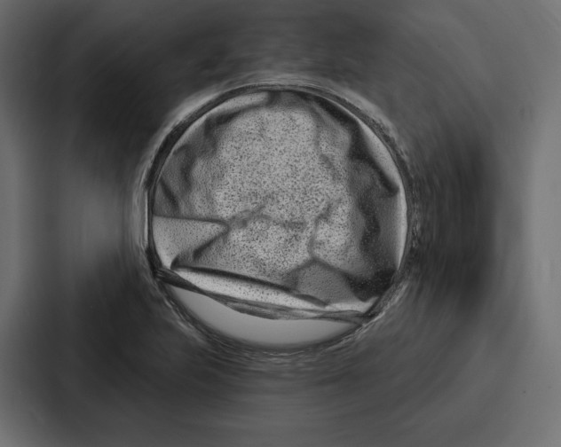 X0000086801223200705111828