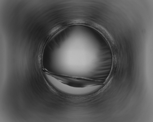 X0000086801225200705111828