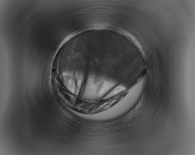 X0000086801226200705111828