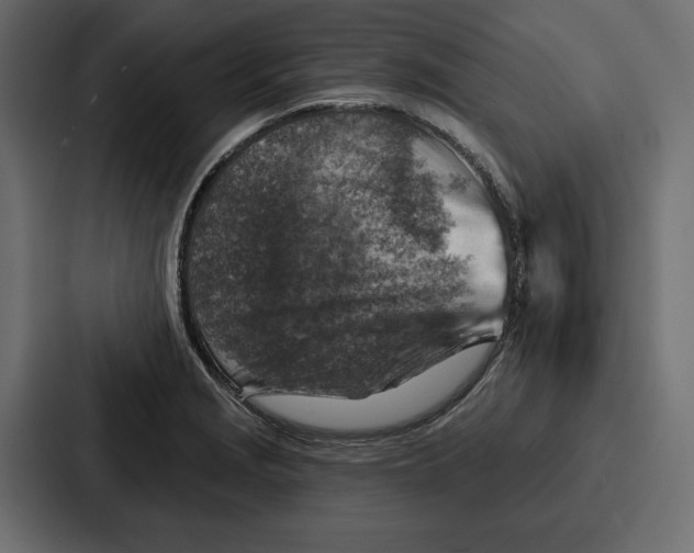 X0000086801229200705111829