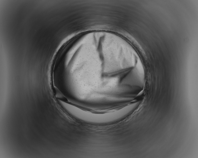 X0000086801230200705111829