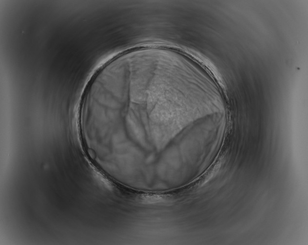 X0000086801231200705111829