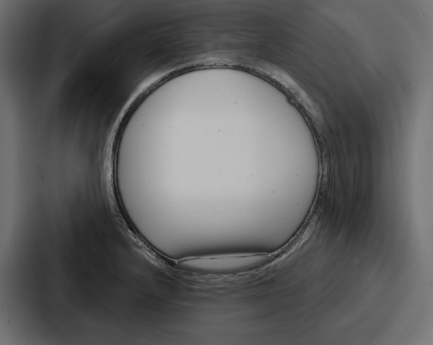 X0000086801232200705111829