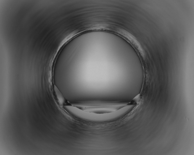 X0000086801234200705111829