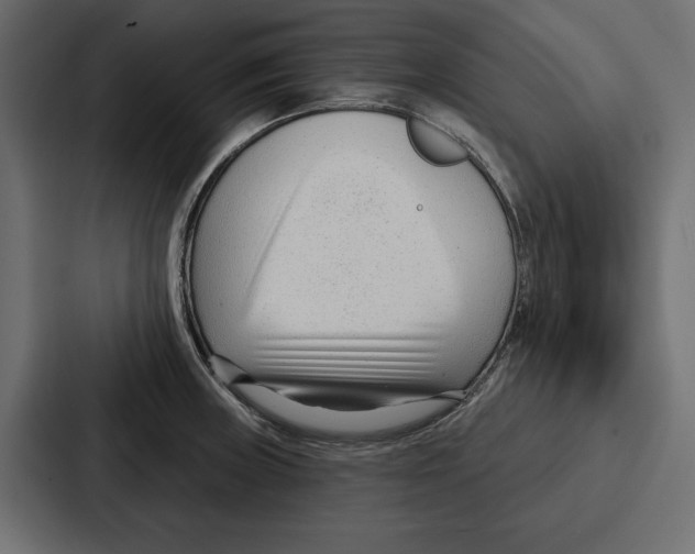 X0000086801235200705111829