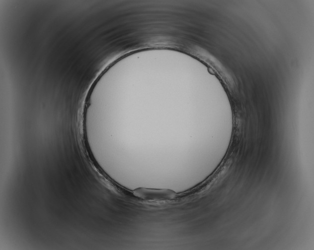 X0000086801236200705111829