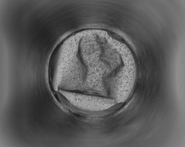 X0000086801237200705111829