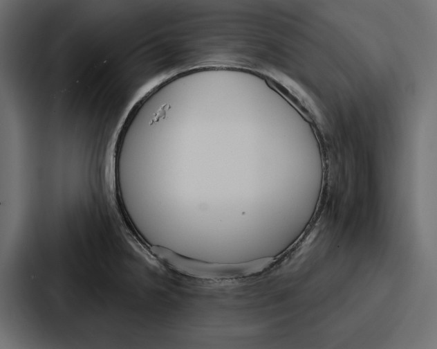 X0000086801238200705111829