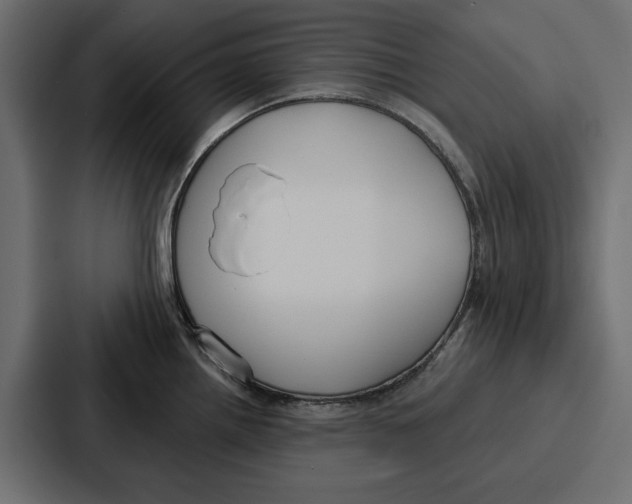 X0000086801242200705111829