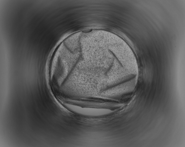 X0000086801243200705111829