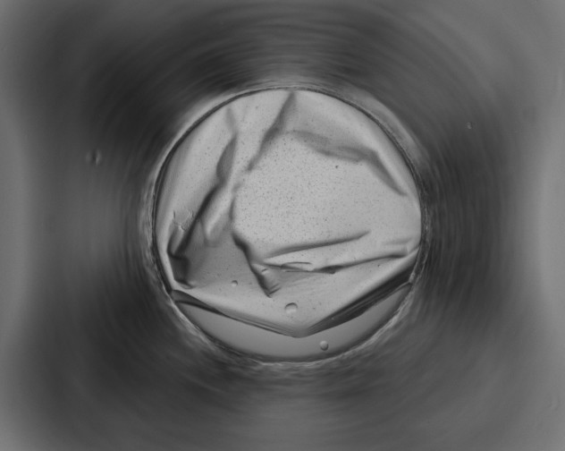 X0000086801244200705111829