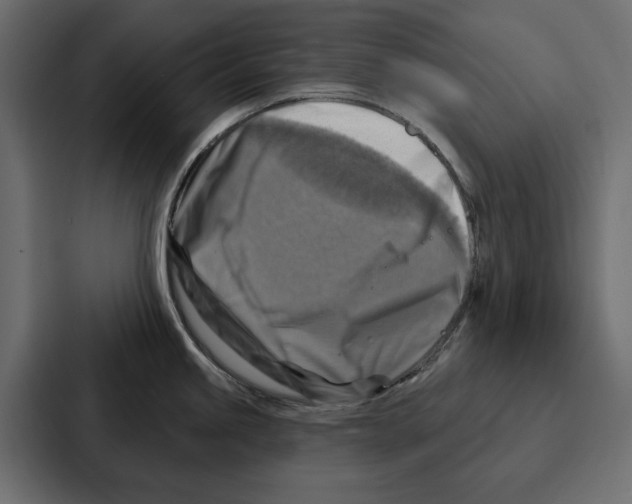 X0000086801245200705111829