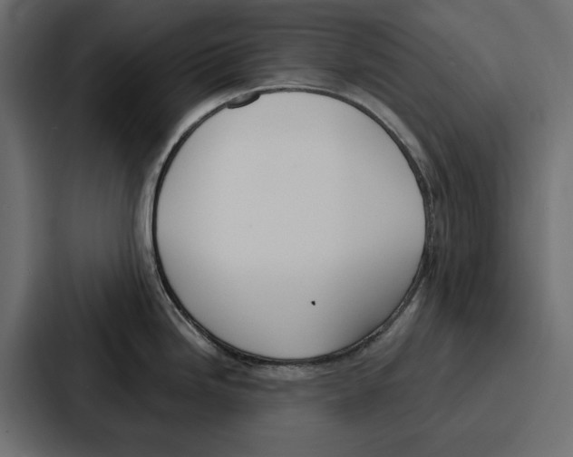 X0000086801246200705111829