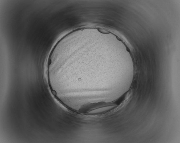 X0000086801247200705111829