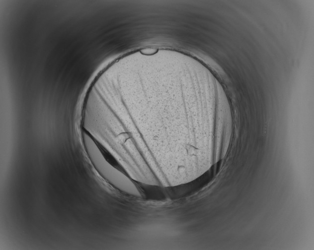 X0000086801248200705111829