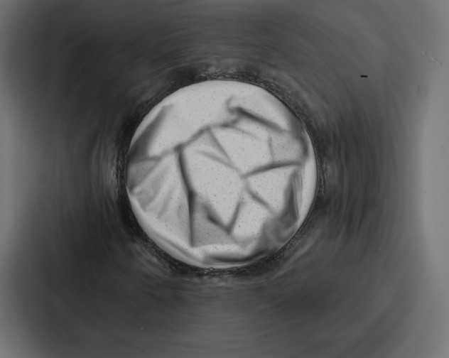 X0000086801250200705111828