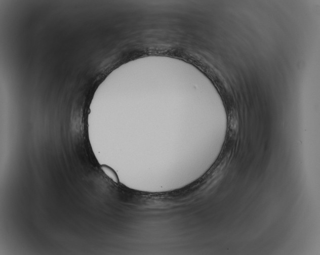 X0000086801252200705111828