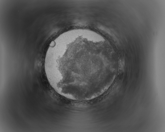 X0000086801254200705111828