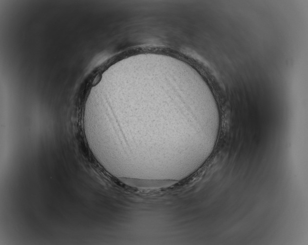 X0000086801255200705111828