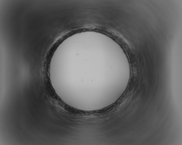 X0000086801256200705111828