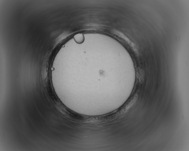 X0000086801259200705111828