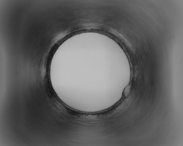 X0000086801261200705111828