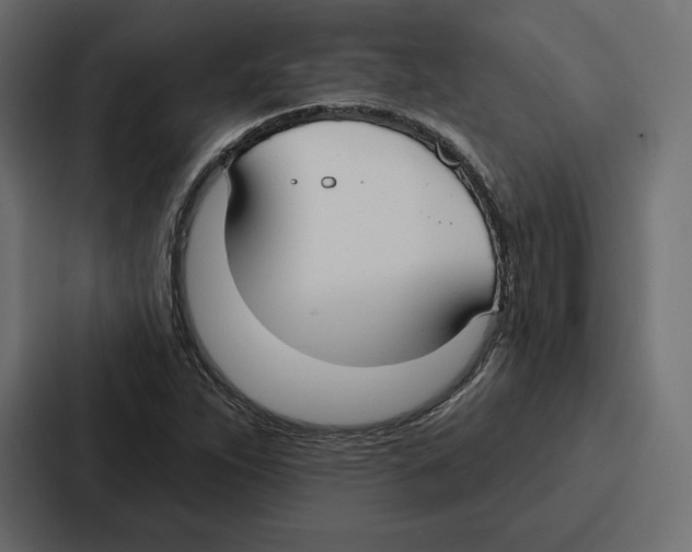 X0000086801263200705111828