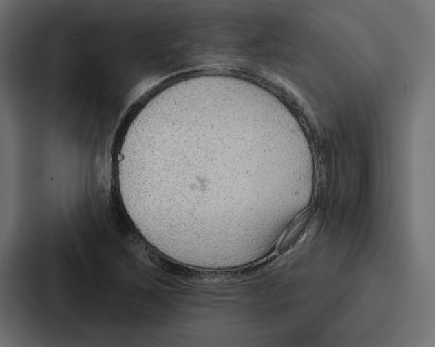 X0000086801267200705111828