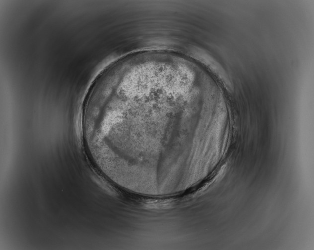 X0000086801275200705111828