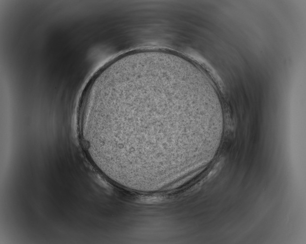 X0000086801278200705111828