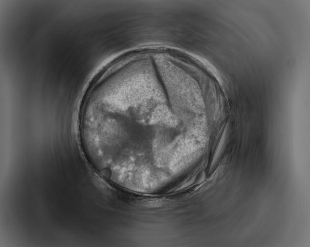 X0000086801279200705111828