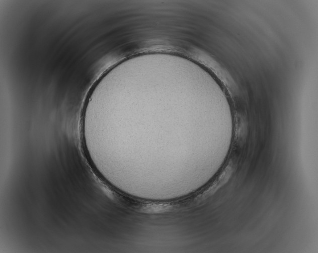 X0000086801282200705111828