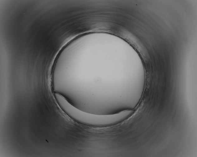 X0000086801284200705111828