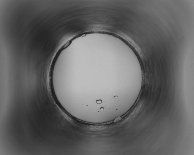 X0000086801285200705111828