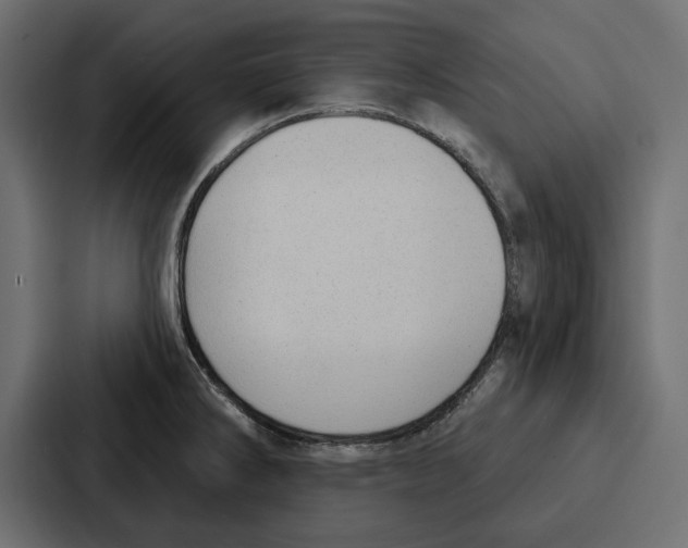 X0000086801286200705111828