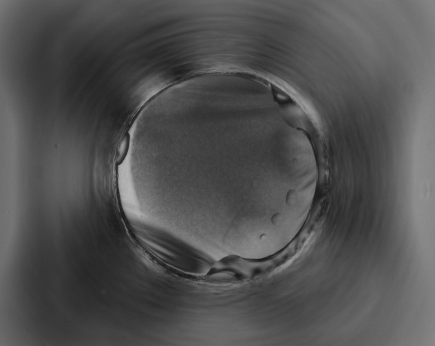 X0000086801289200705111828