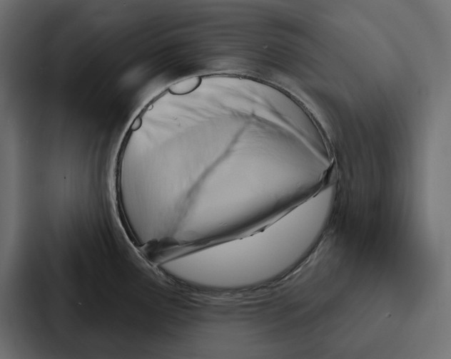 X0000086801291200705111828