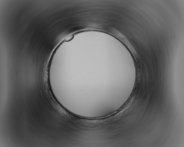 X0000086801292200705111828