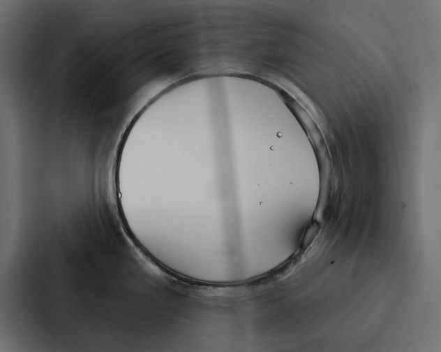 X0000086801293200705111828