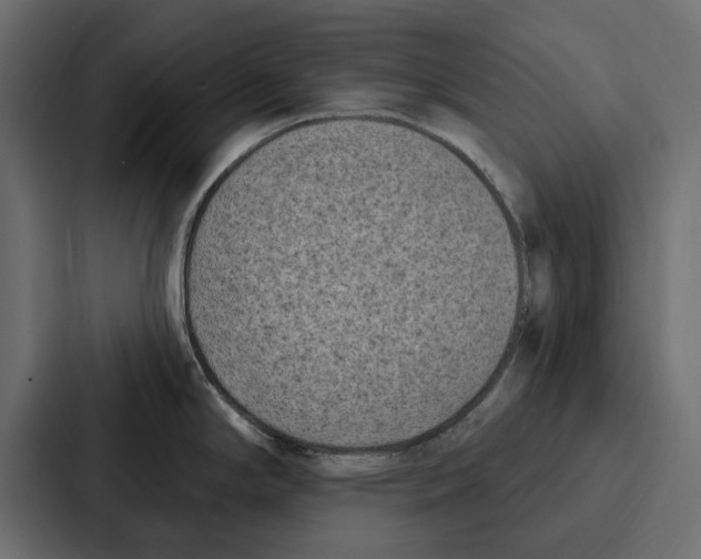 X0000086801294200705111828