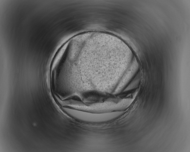 X0000086801295200705111828