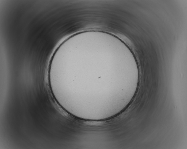 X0000086801296200705111828