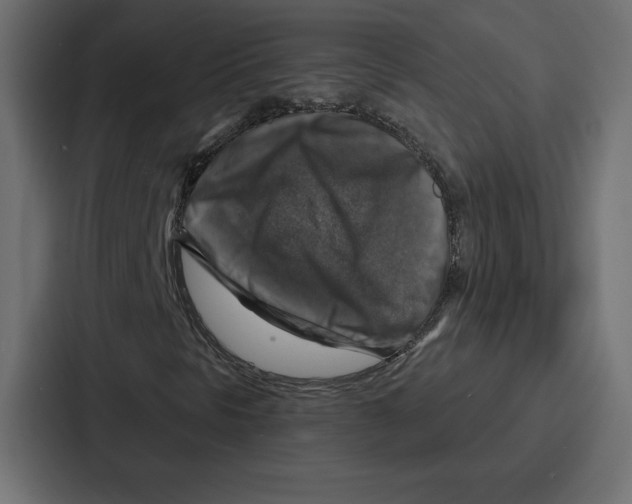 X0000086801297200705111827