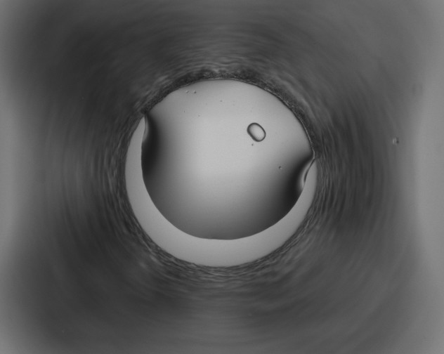 X0000086801298200705111827