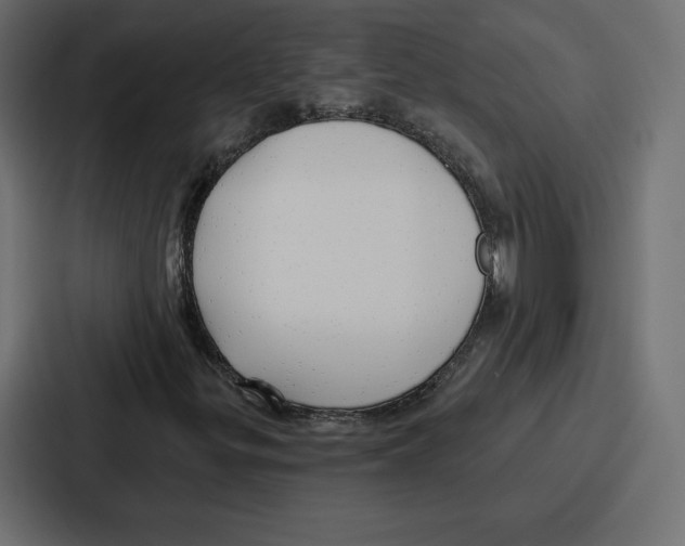 X0000086801299200705111827