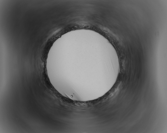 X0000086801302200705111827