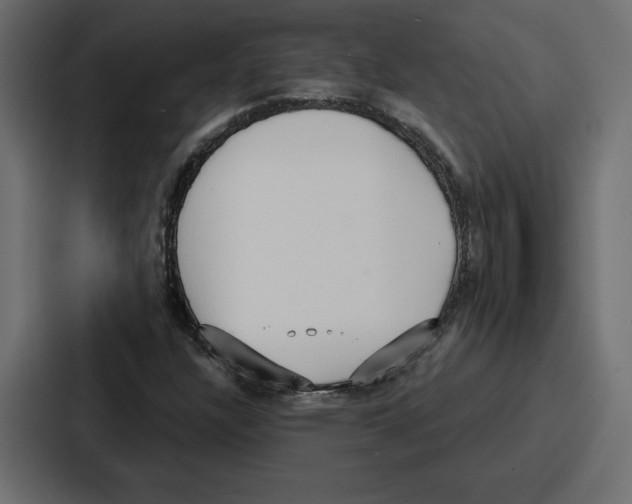 X0000086801304200705111827